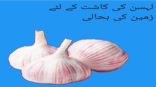 Garlic ki kasht [upl. by Zoa559]