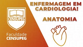 Enfermagem em Cardiologia [upl. by Ellecrag544]