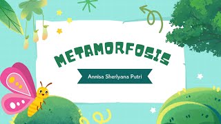 Metamorfosis sempurna dan metamorfosis tidak sempurna [upl. by Ahsenac]