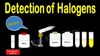 Detection of Halogens in Organic Compounds by Lassaigne Method  Class 12 Organic Chemistry [upl. by Oirramed638]