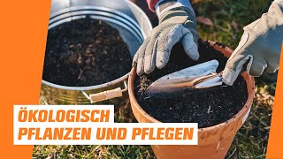 Ökologisch Pflanzen und Pflegen I OBI I Naturnaher Garten  Folge 2 [upl. by Namaj]