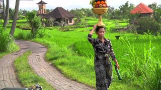 BALI SURF CAMP CANGGU KIMA SURFARIS [upl. by Anuahsar]