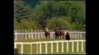 1981 Gold Cup [upl. by Argent]