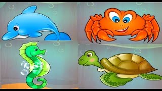 Baby Learn About Sea Animals  Animal Puzzles amp Real Video Of The Animals  Educational Games [upl. by Adnav]