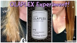 Olaplex No 3  HAIR EXPERIMENT [upl. by Roseanna]