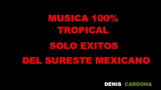 MUSICA 100 TROPICAL SURESTE MEXICANO [upl. by Azial]