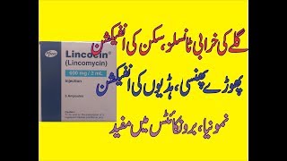 Lincocin Lincomycin Uses  Side effects DoseContraindication In Urdu [upl. by Ailaroc602]