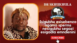 S01E02 Dr Skhukhula Isigubhu esisebenza ngama spems nesigubhu segazi esigadla emndenini [upl. by Nivag]