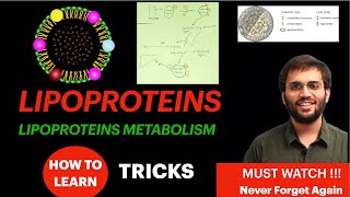 Lipoproteins Biochemistry  Lipoprotein Metabolism Structure Function  Lipid Metabolism Video [upl. by Adamok]