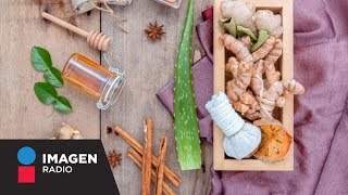 Antibióticos naturales que lograrán un cambio en tu salud  Bien y Saludable [upl. by Leuqram]