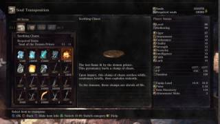 Dark Souls 3 The Ringed City  Seething Chaos Location [upl. by Zavras492]