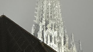 Österreichische Bundeshymne im Wiener Stephansdom am Nationalfeiertag 2024 [upl. by Inavoy]