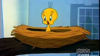 I Tawt I Taw a Puddy Tat Tweety Compilation [upl. by Nnylrats394]