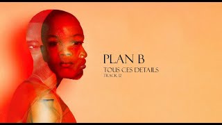 Plan B  The Recluse [upl. by Alletneuq]