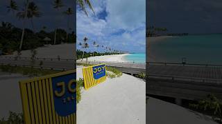 Joy Island Maldives by Cocoon Collection [upl. by Lonnie232]