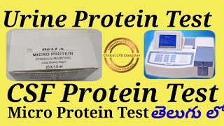 Urine Protein Test And CSF Protein Test in Pyrogallol Red Method in TELUGUDELTA  Erba [upl. by Saihtam]