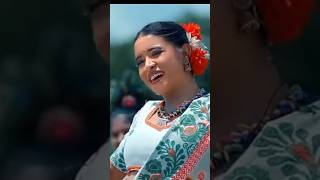 TARAL BASAL shortsviral song newsantaliromanticlovestorysong indianlanguage santalivideo2024 [upl. by Nnayelsel]