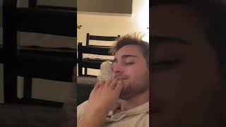 smell my foot prank on my boyfriend🤣🤣🤢 prank shorts [upl. by Kary]