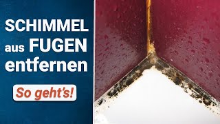 Schimmel aus Silikonfugen entfernen  So geht’s [upl. by Farrison443]