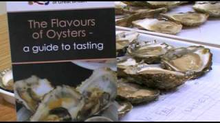 Oyster Tasting Guide [upl. by Kondon]