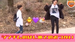 【日本語字幕】 【防弾少年団BTS】はじめてのおつかい🐹🐥【ジンチム】 BTS 2021 [upl. by Toney898]