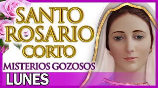 Santo Rosario Corto de Hoy Lunes 🌿 Misterios Gozosos 🙏 Rosario a Santa Virgen María [upl. by Alegna]