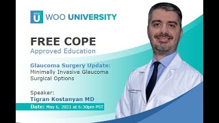 Glaucoma Surgical Options  MIGS update [upl. by Jamille]