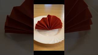 Servietten falten Fächer  Fan napkin folding [upl. by Nevek]