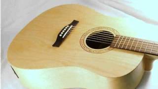 Seagull Excursion SG Acoustic Guitar Natural [upl. by Adnilra60]