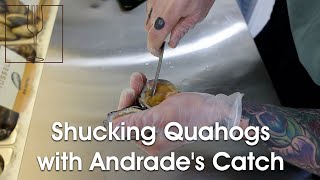 Shucking Quahogs with Andrades Catch [upl. by Adekam]