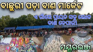 ବାଛୁରୀ ପଡ଼ା ବାଣ ମାର୍କେଟ 🎇  Bachuri Pada Crackers Shop 💥  Mayurbhanj  Baisinga vlog [upl. by Friederike]