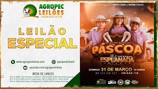 agropecleiloescom LEILÃO ESPECIAL PÁSCOA  ESPLANADA LEILÕES  CRIXÁSTO 31032024 [upl. by Odnama]