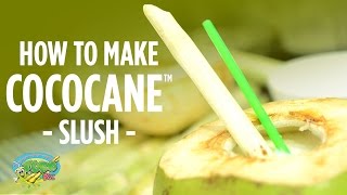 Coconut and Sugarcane Juice Recipe  Super hydration super energizer  Incredible Taste [upl. by Baun]