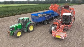 Dewulf R3000 Mega Potato Harvester [upl. by Holmen]