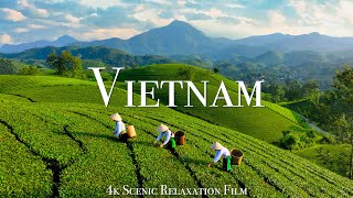 Vietnam 4K  Scenic Relaxation Film With Calming Music [upl. by Oranneg]