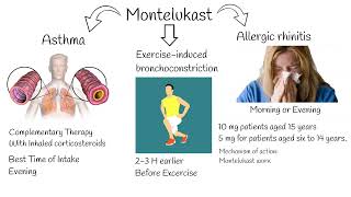 Montelukast  Indications side effects Singular indications [upl. by La]