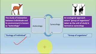 AUTECOLOGY SYNECLOGY amp Levels of organisation [upl. by Eahc353]