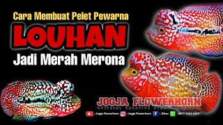 CARA MEMBUAT PELET SUPER RED IKAN LOUHAN  MURAH MERIAH  WARNA JADI MERAH [upl. by Ravo339]