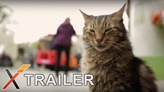 Gatos  Trailer [upl. by Noned]