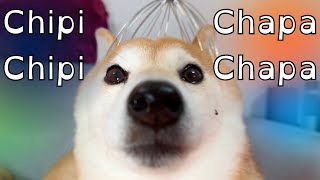 Chipi Chipi Chapa Chapa Dubi Dubi Daba Daba Doge [upl. by Heyes]