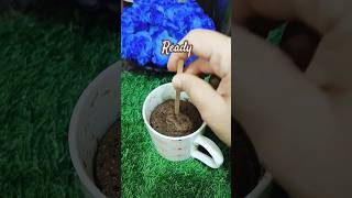 Chocolate Mug Cake🍮ytshotscooking [upl. by Ecienal]