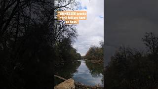 Tennessee creek fishing fall november beauty nature follow like music acoustic cover [upl. by Sproul]