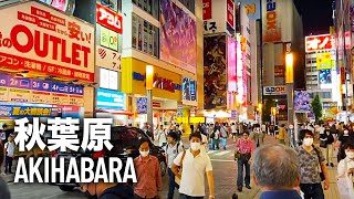 Akihabara Walking Tour  Center of Japanese Otaku Culture in Tokyo [upl. by Morlee106]