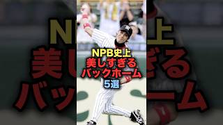 NPB史上美しすぎるバックホーム5選プロ野球 阪神タイガース 横田慎太郎 野球解説 [upl. by Marilin]