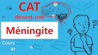 Méningite🙄 cest quoi la CAT 🤔  Cours  Infectiologie [upl. by Sire60]