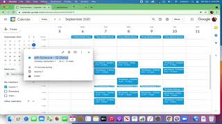 Color Code your Primary Google Calendar [upl. by Yantruoc402]