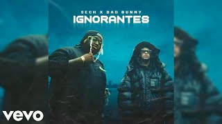 Ignorantes  Bad Bunny Ft Sech Audio Official [upl. by Innig522]