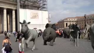 Exotic Animals Enter Vatican City [upl. by Clawson]