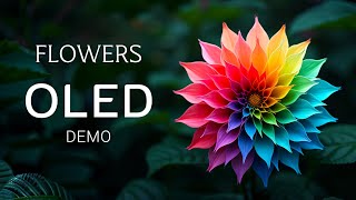 Flowers OLED Demo HDR 8k Ultra HD Dolby Vision 60fps  Colorful Nature Beauty [upl. by Roel]