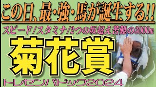 「この日、最・強・馬が誕生する！！」《菊花賞》スピードスタミナ2つの坂超え苦難の3000m トレセンパドック2024 [upl. by Caddric]